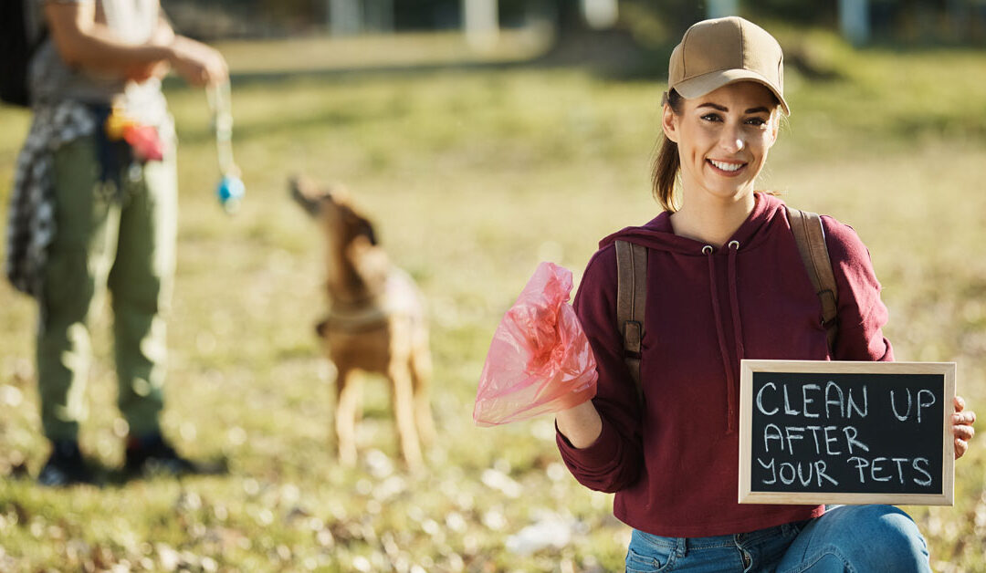 How Often Should You Schedule Poop Scooping Services?