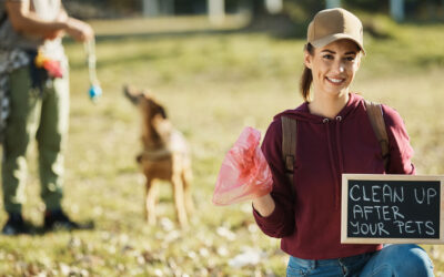 How Often Should You Schedule Poop Scooping Services?